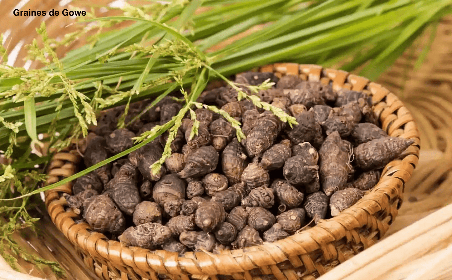Femini Tea : L'Infusion Bien-être pour un Confort Menstruel Naturel 🌸🍃