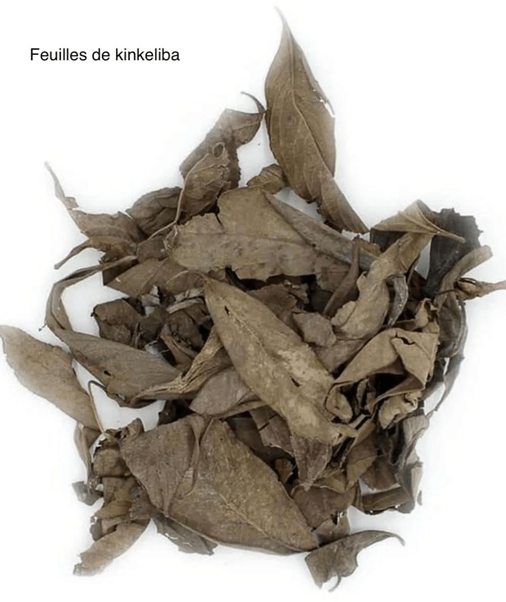 Femini Tea : L'Infusion Bien-être pour un Confort Menstruel Naturel 🌸🍃